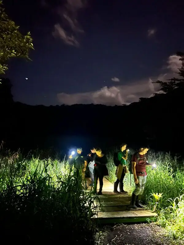 Nighttime research expedition on the floating bridges
