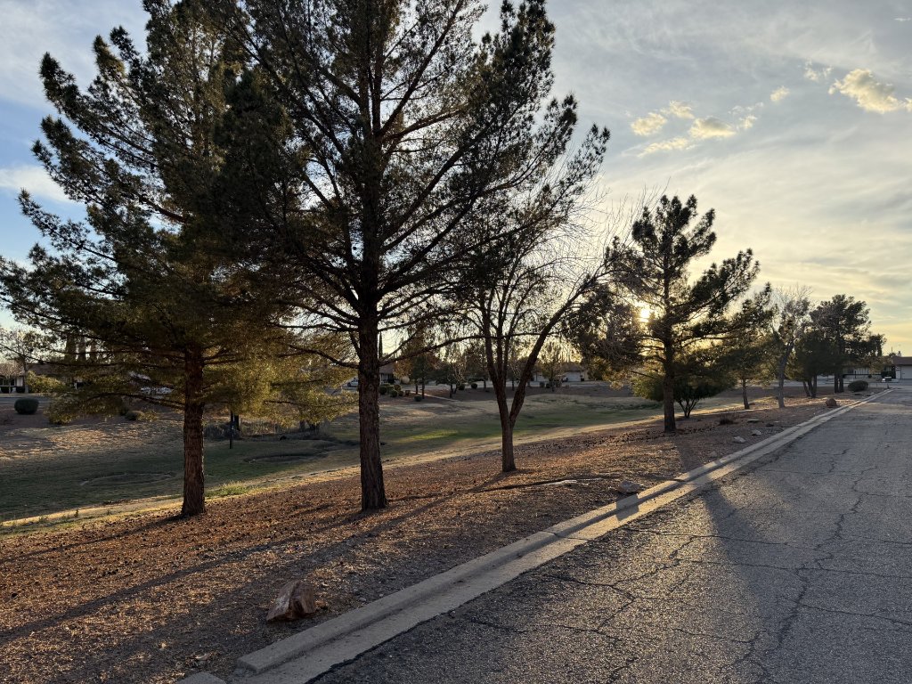 Community Landscape