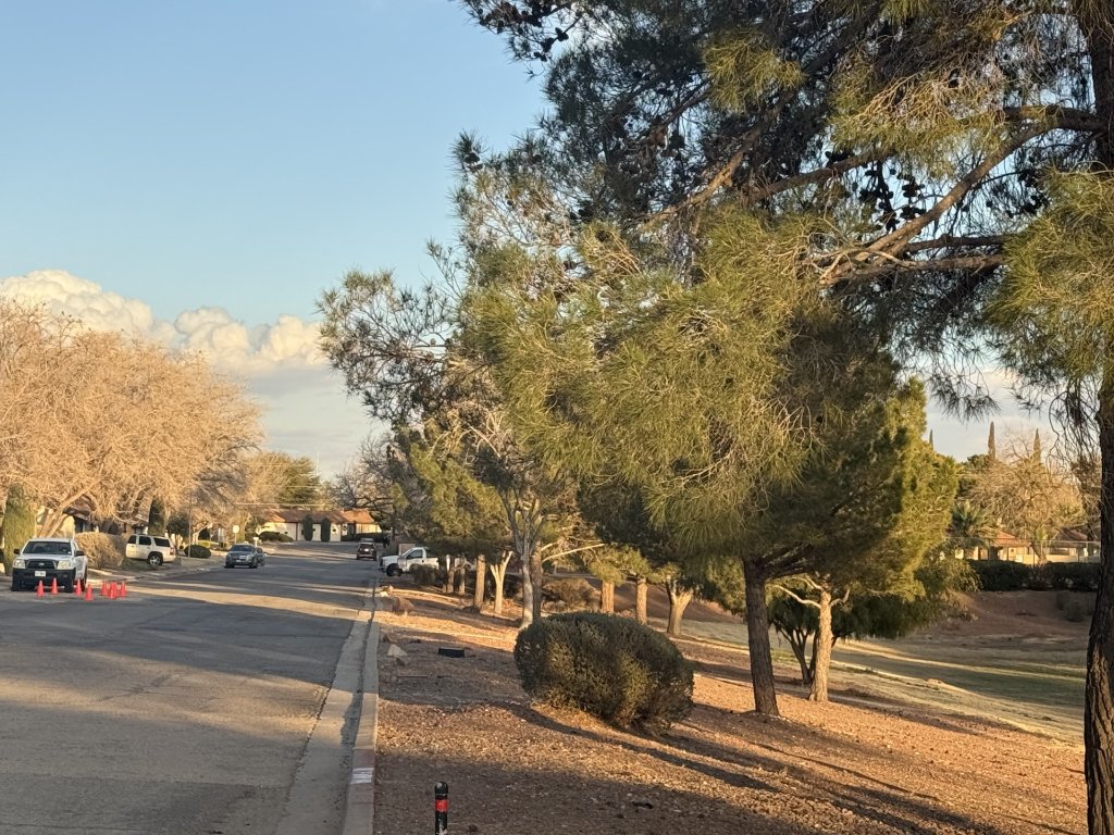 Park View