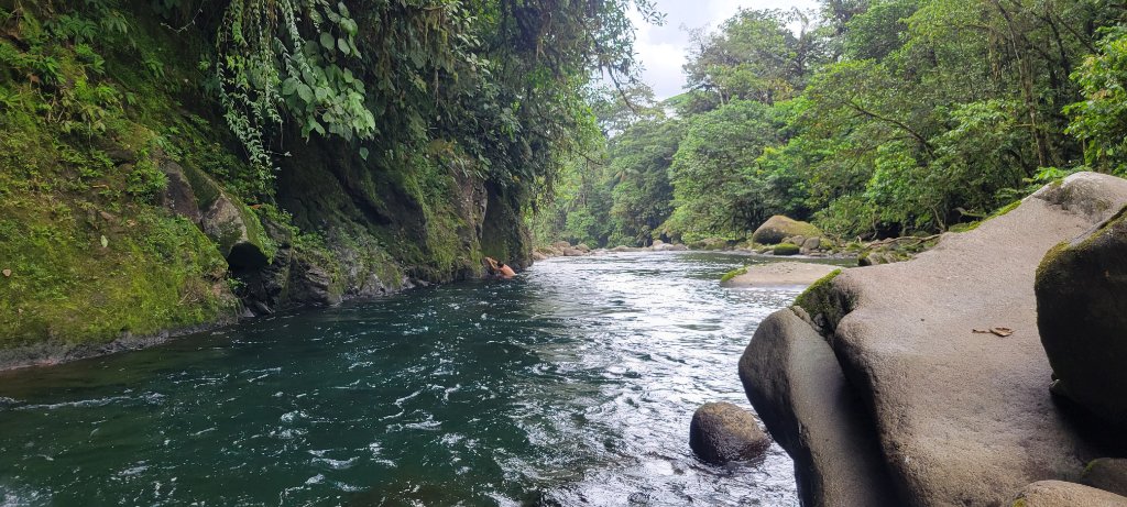 Dense rainforest vegetation at La Danta Salvaje