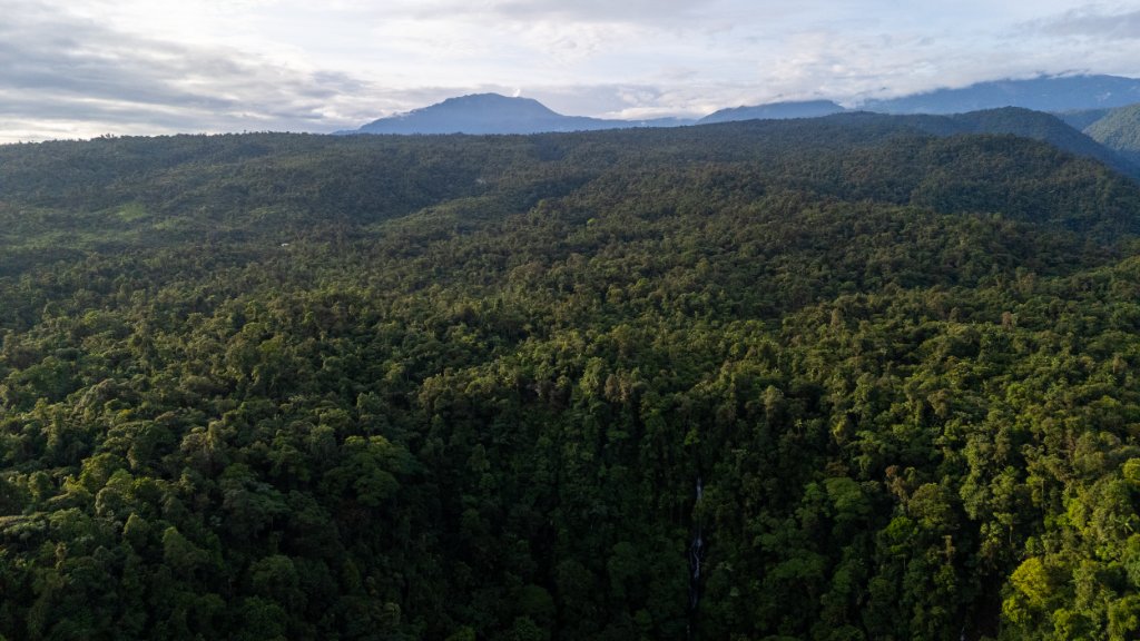 Aerial view of forested mountains at La Danta Salvaje