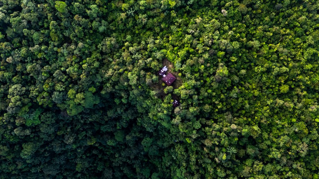 Aerial lodge view