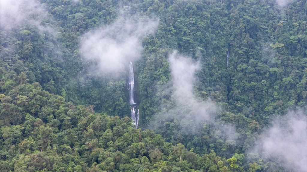Aerial view of primary rainforest and a waterfall at La Danta Salvaje