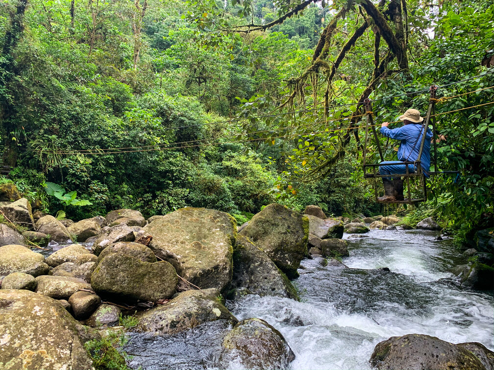 Lush rainforest scenery at La Danta Salvaje