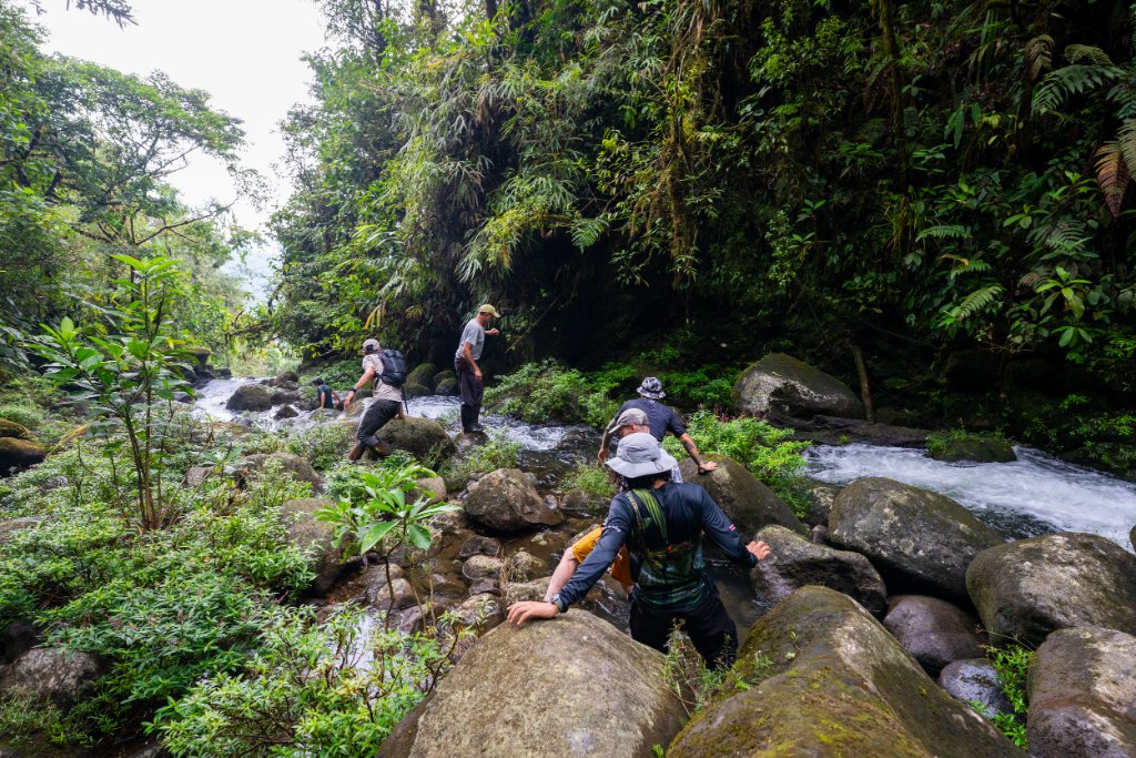 Guests exploring the rainforest at La Danta Salvaje