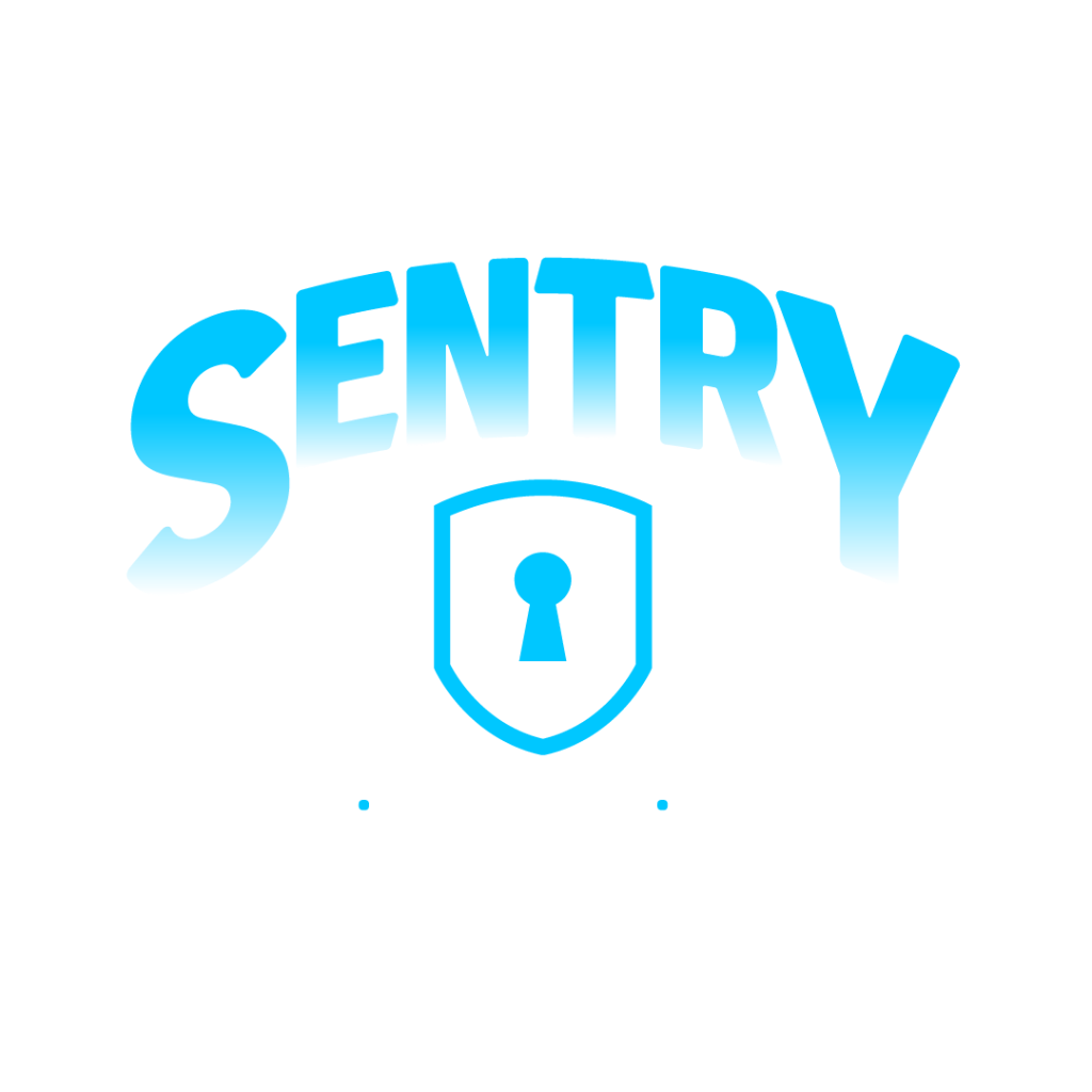 Sentry Cloud IT - 25+ Years Enterprise IT Services & Cybersecurity Solutions