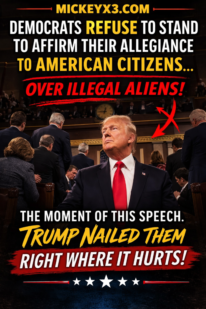 Democrats refuse to stand for American citizens during Trump speech - MickeyX3.com political meme