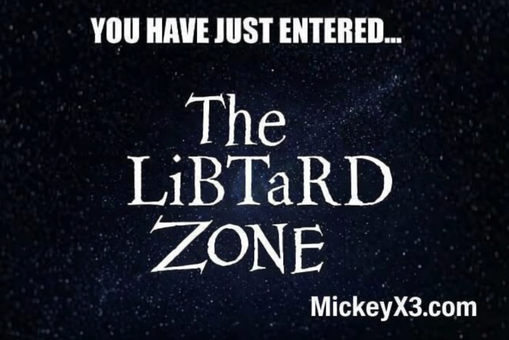 Meme - You have just entered The Libtard Zone - MickeyX3.com