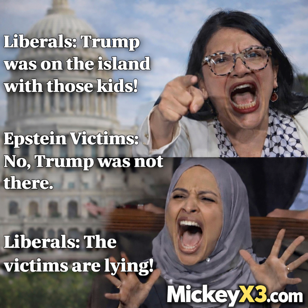 Liberals say Trump was on the island - Epstein victims say Trump was not there - Liberals say the victims are lying - political hypocrisy meme - MickeyX3.com