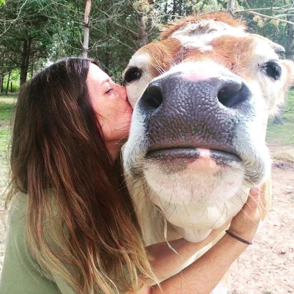Tracy with a cow at Asha's Farm Sanctuary