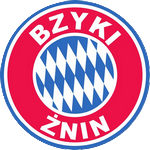 Pałucka Akademia Piłkarska BZYKI Żnin logo