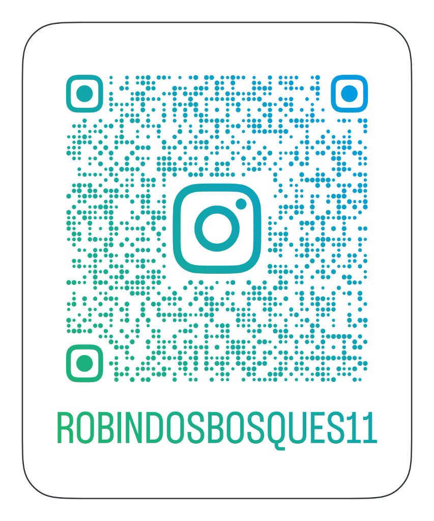 QR Code Instagram