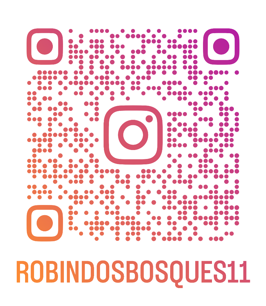 QR Code Instagram