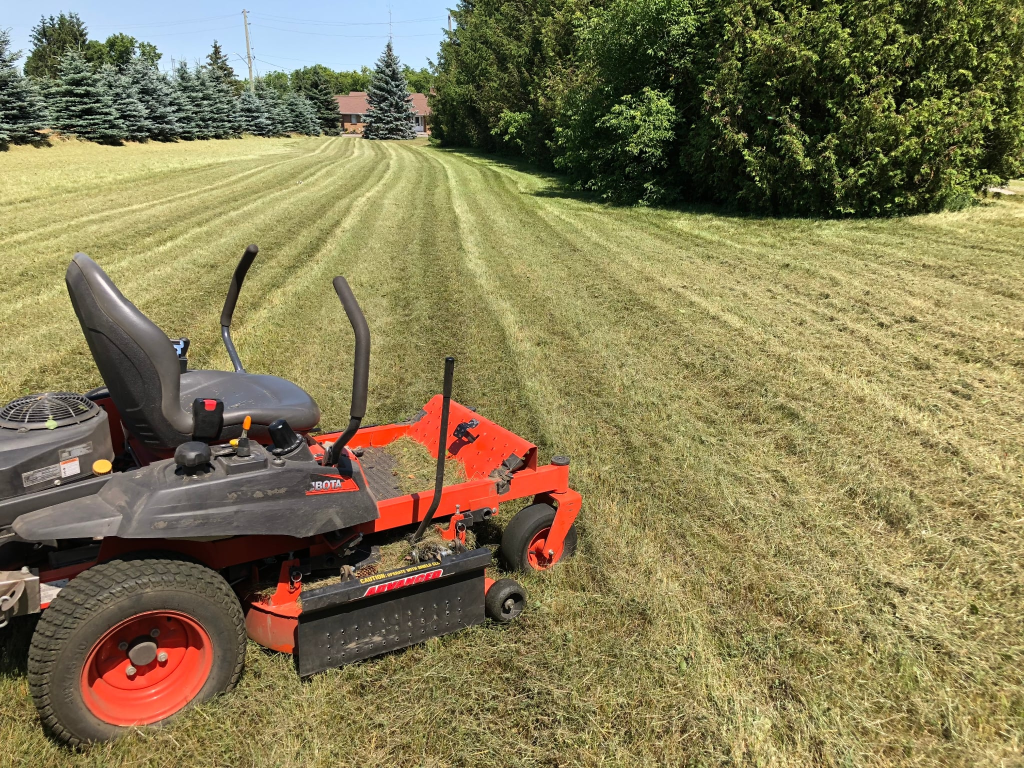 Professional lawn mowing in progress