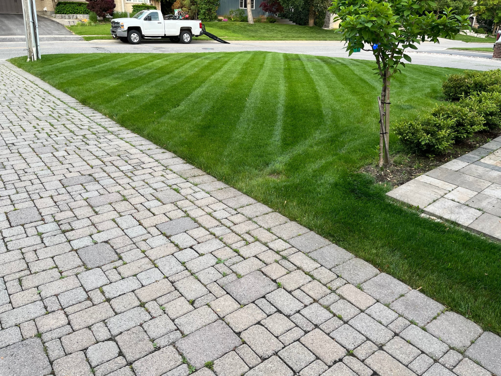 Perfectly striped lawn with interlocking