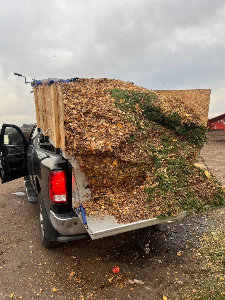 Fall cleanup truck loaded with leaves