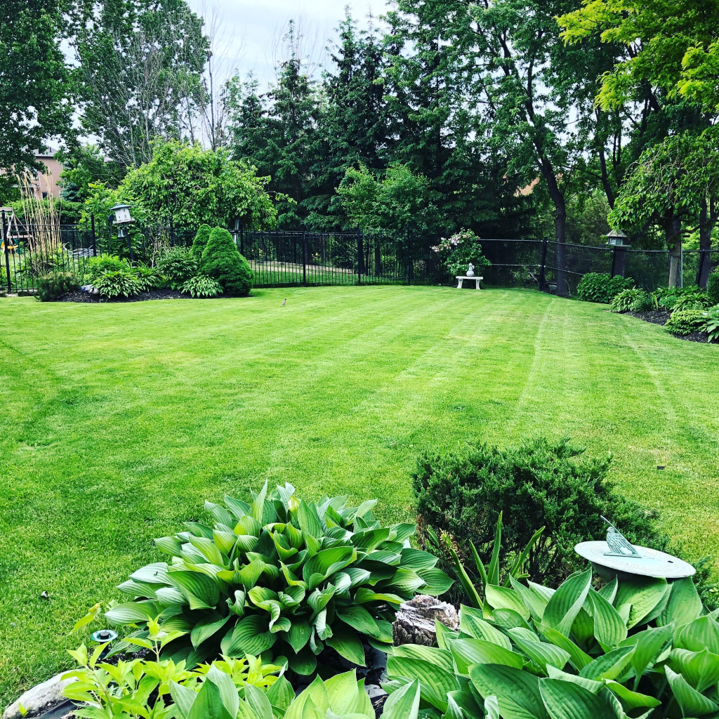 Lawn Care & Maintenance