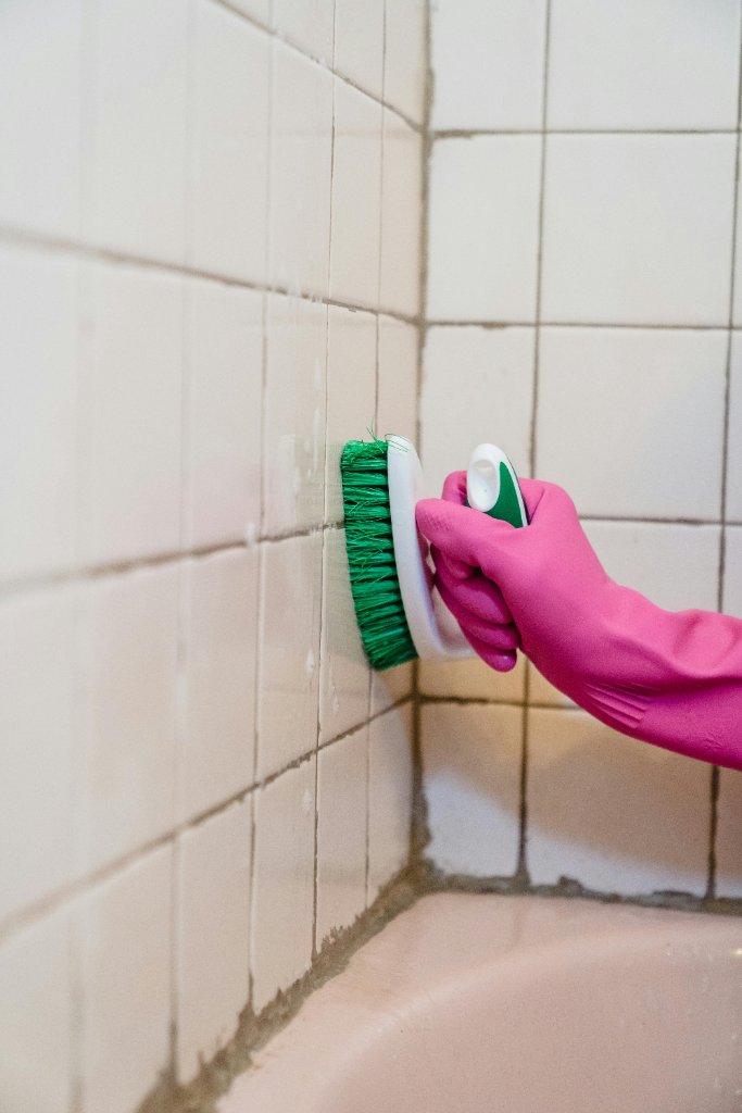 Mould and Pest Control
