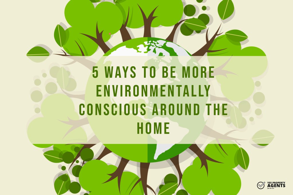 5 Ways To Be More Environmentally Conscious Around The Home