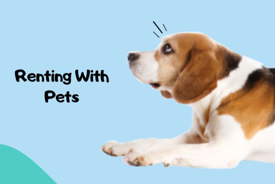 Renting With Pets