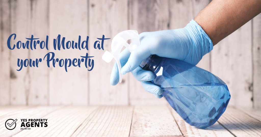 Control Mould at your Property