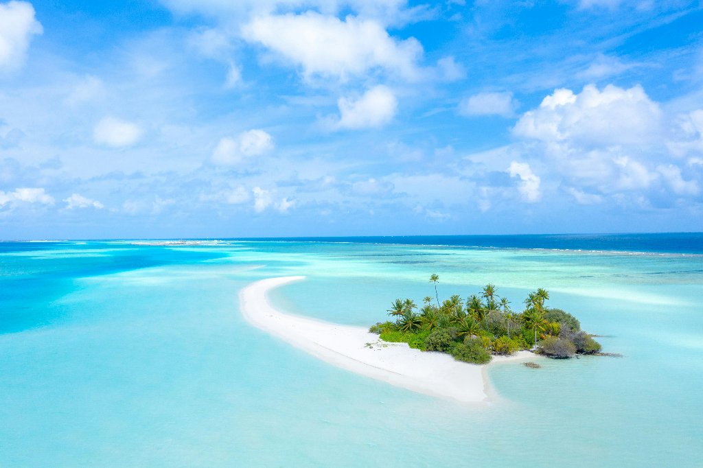 Palme e natura delle Maldive