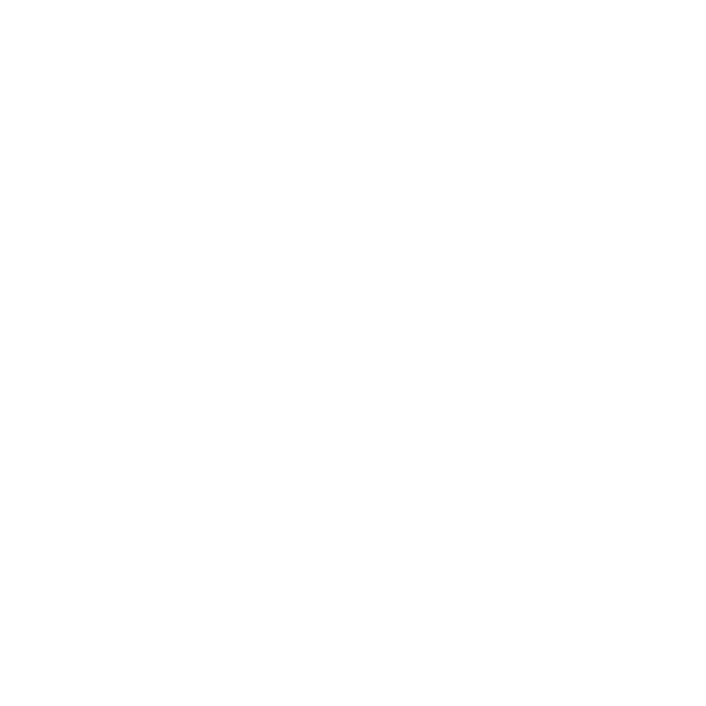 Capital Motors