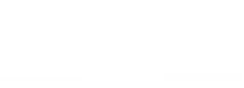 African Leadership Organization Events