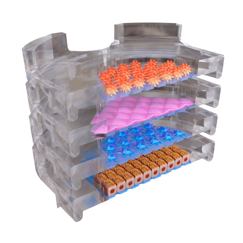 NANOSTACKS stacked layers with cells