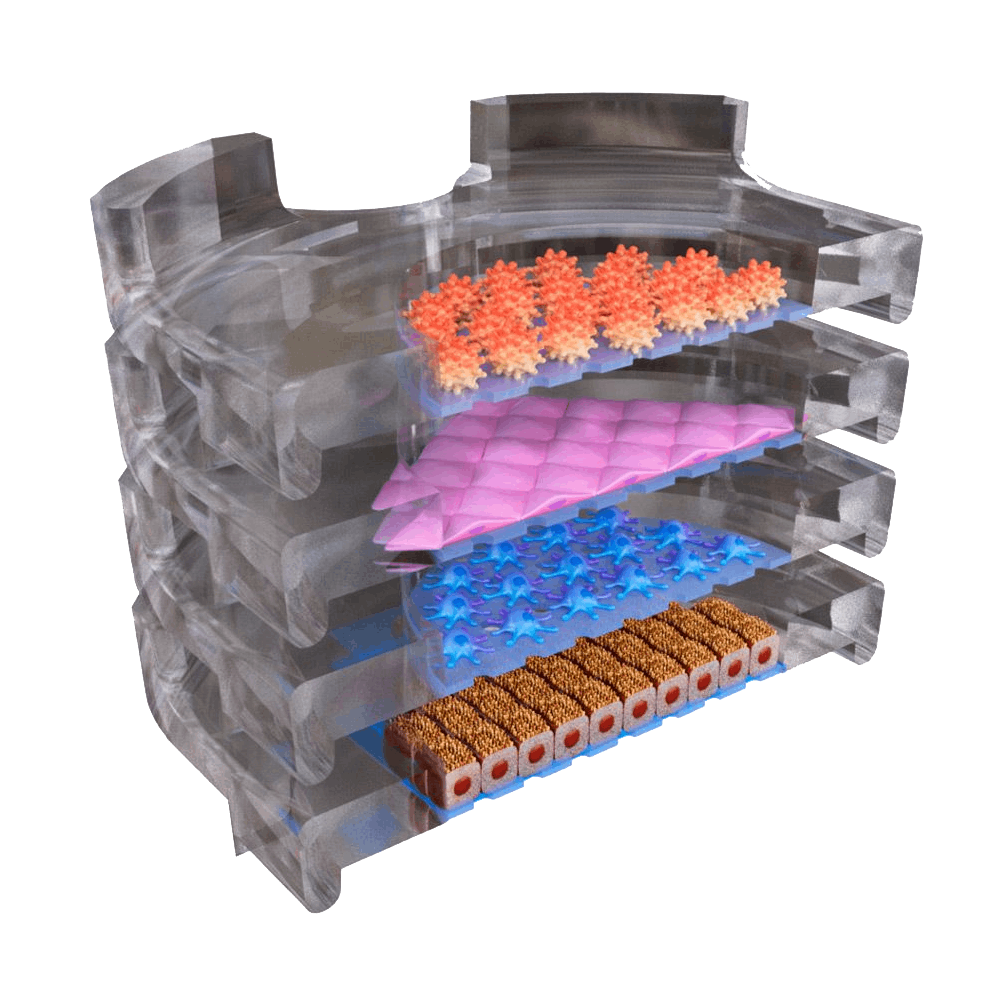 Multi-organ microphysiological system platform