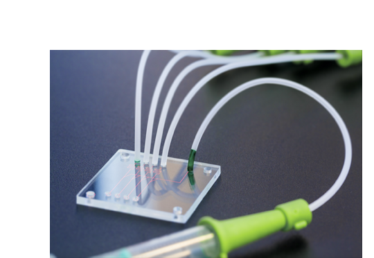 Organ-on-a-chip