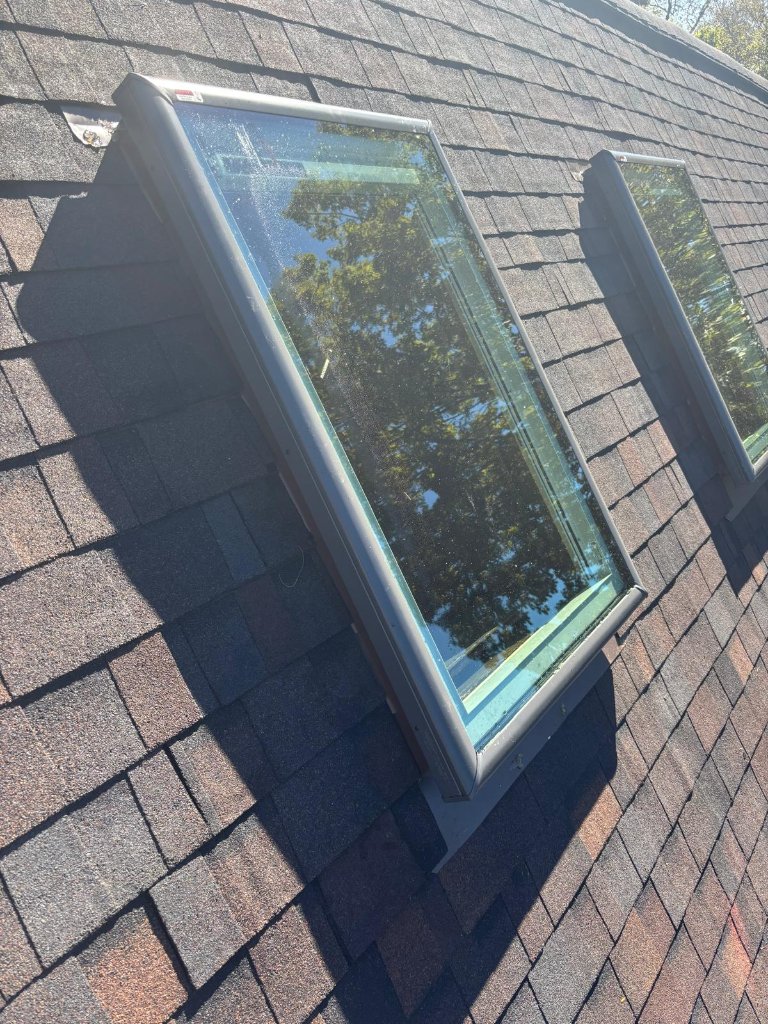 Skylight & Window