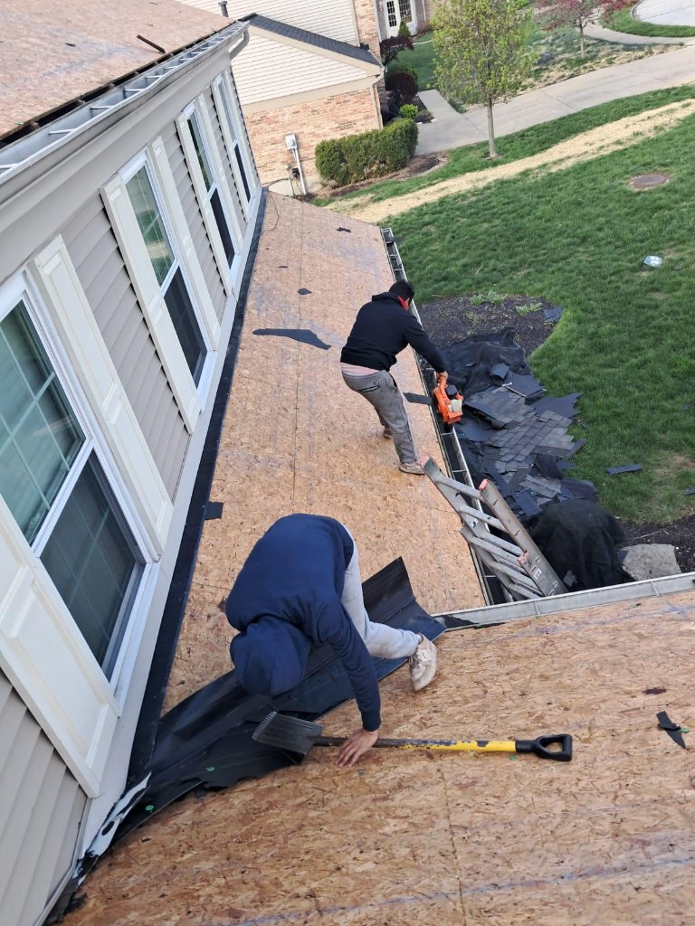 Mountain View Property - Before