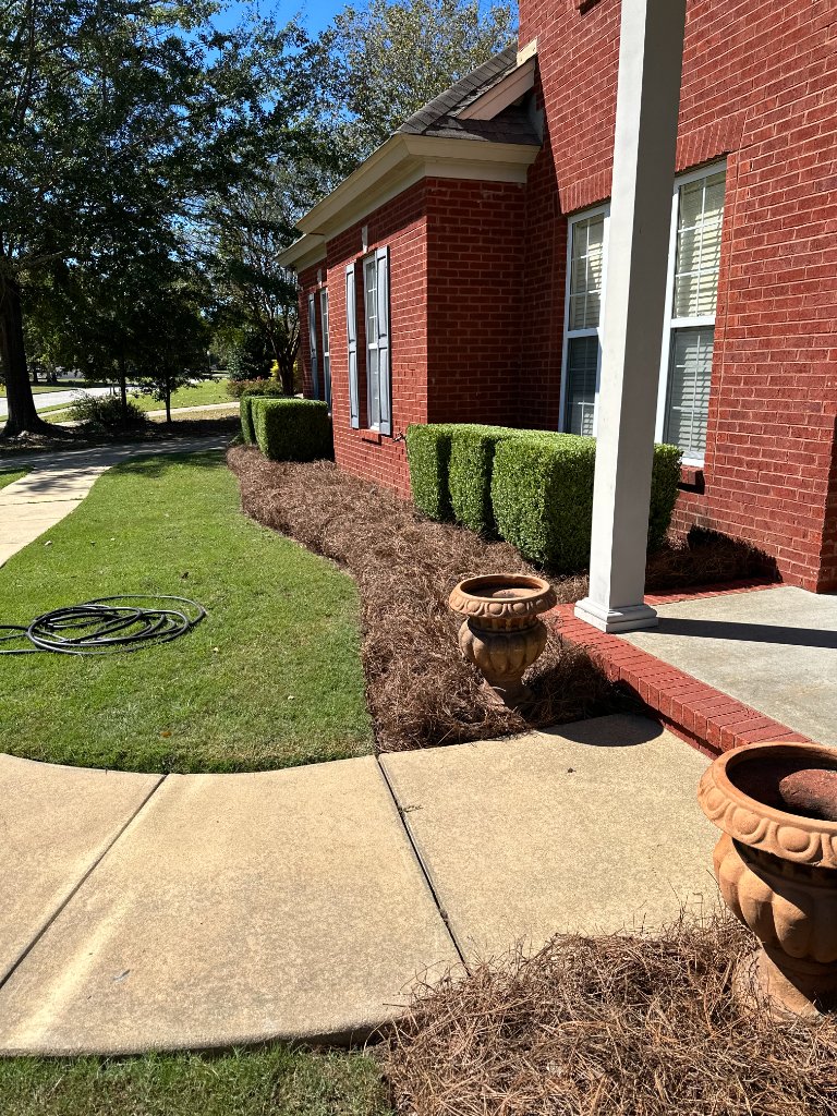 Hedge Trimming
