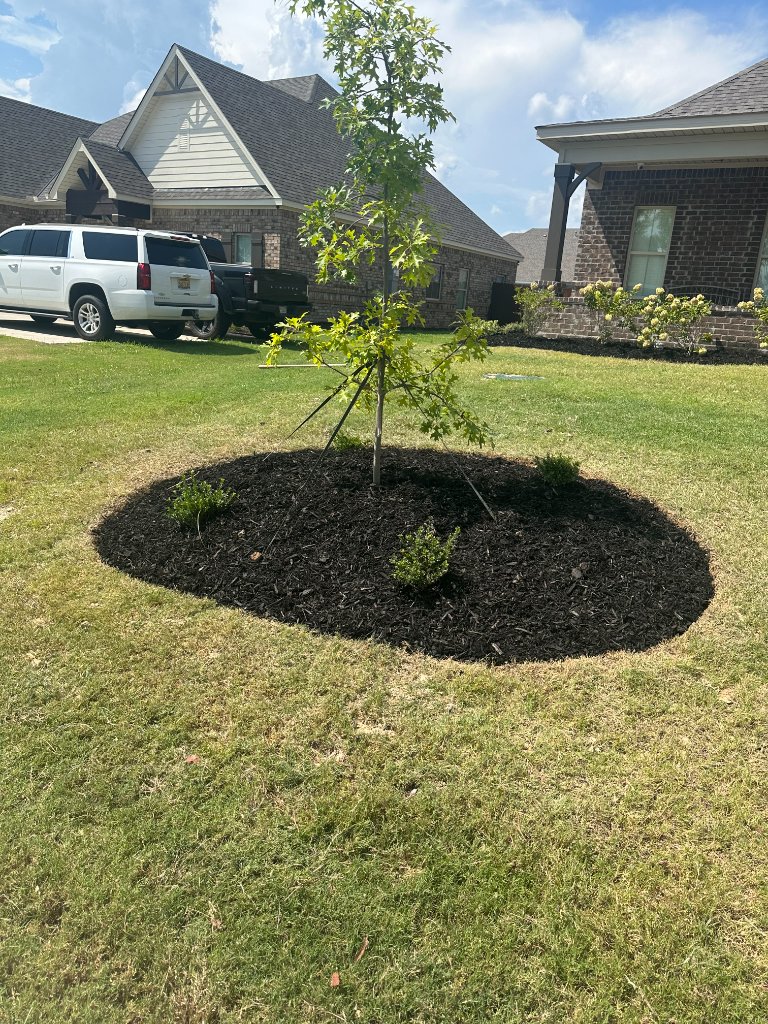 Flower Bed Renovation example 2