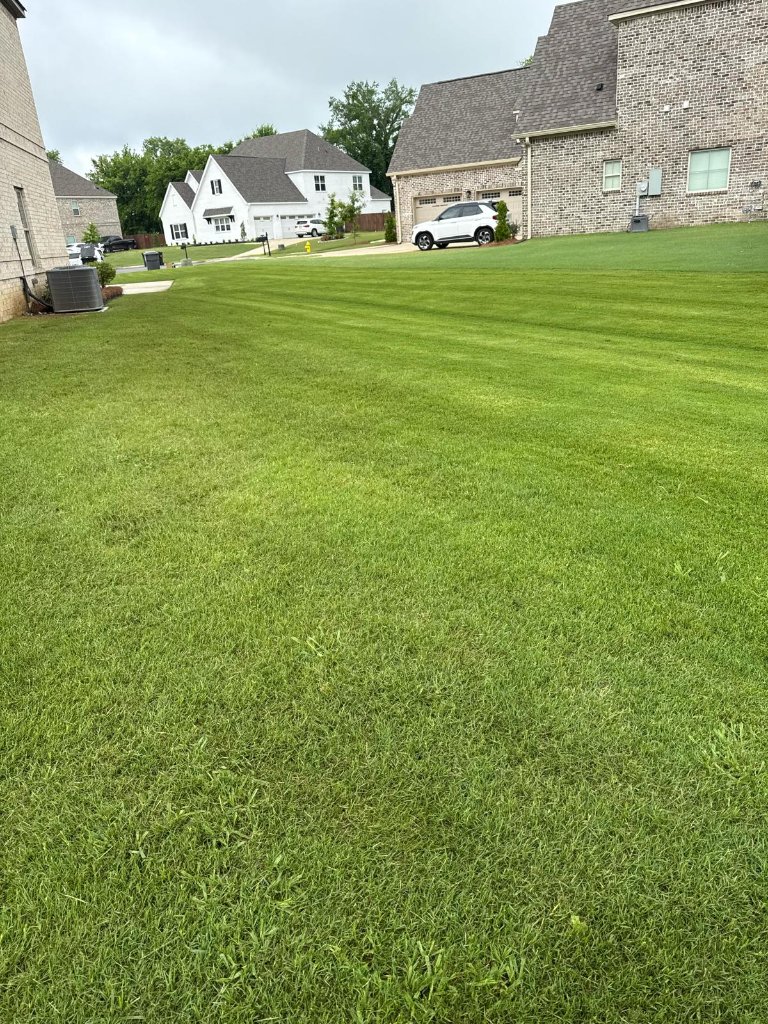 Grass Mowing & Edging example 4