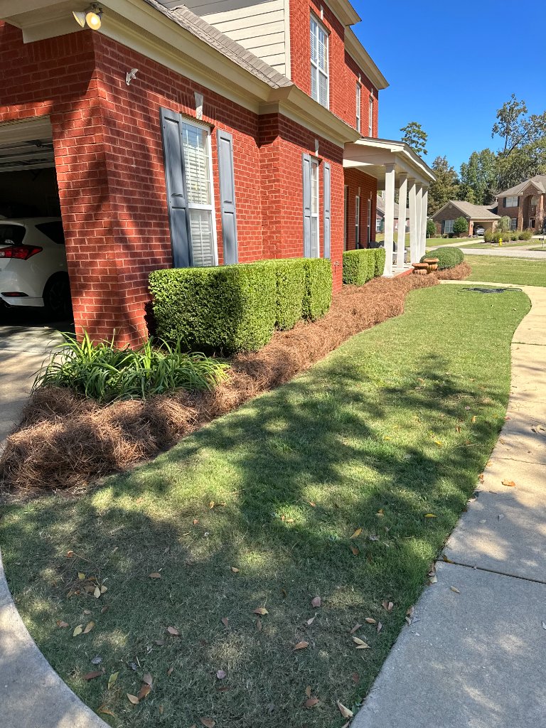 Hedge Trimming example 1