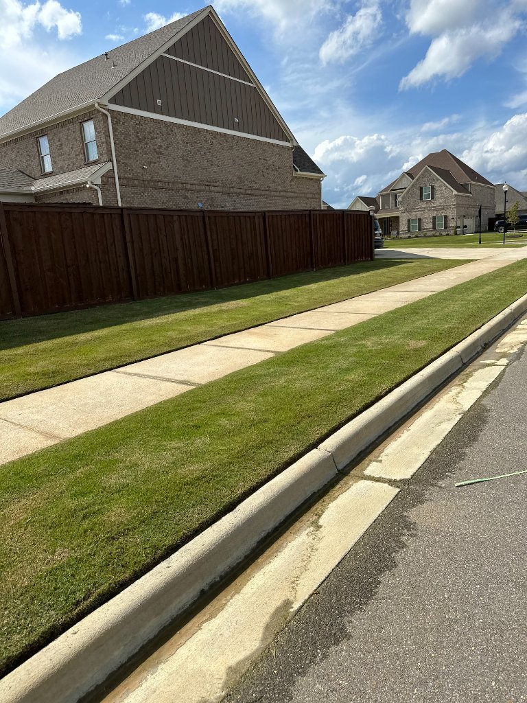 Grass Mowing & Edging example 3