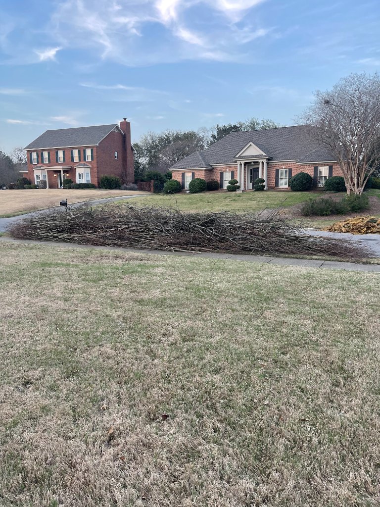 Pruning Services