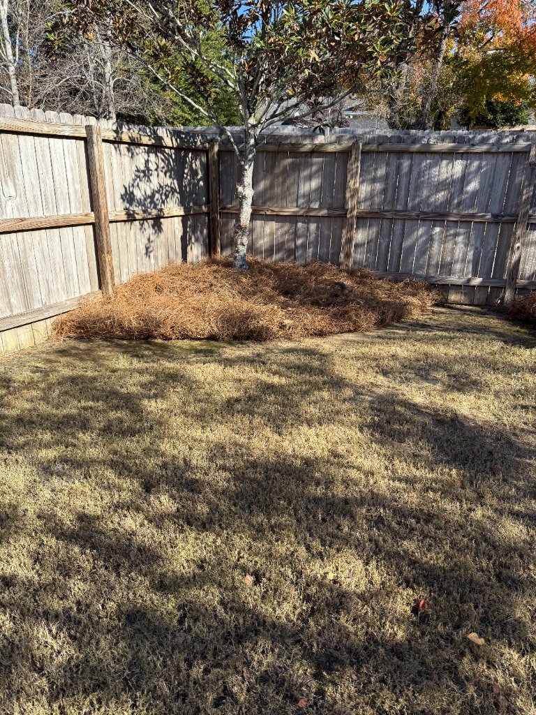 Pine Straw & Mulch example 5