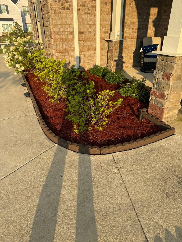 Flower Bed Renovation