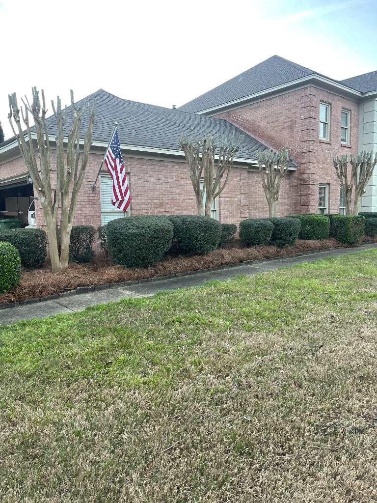 Pruning Services example 2