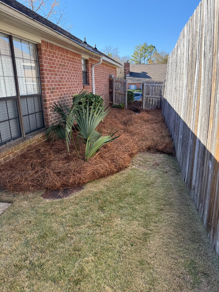 Pine Straw & Mulch example 3