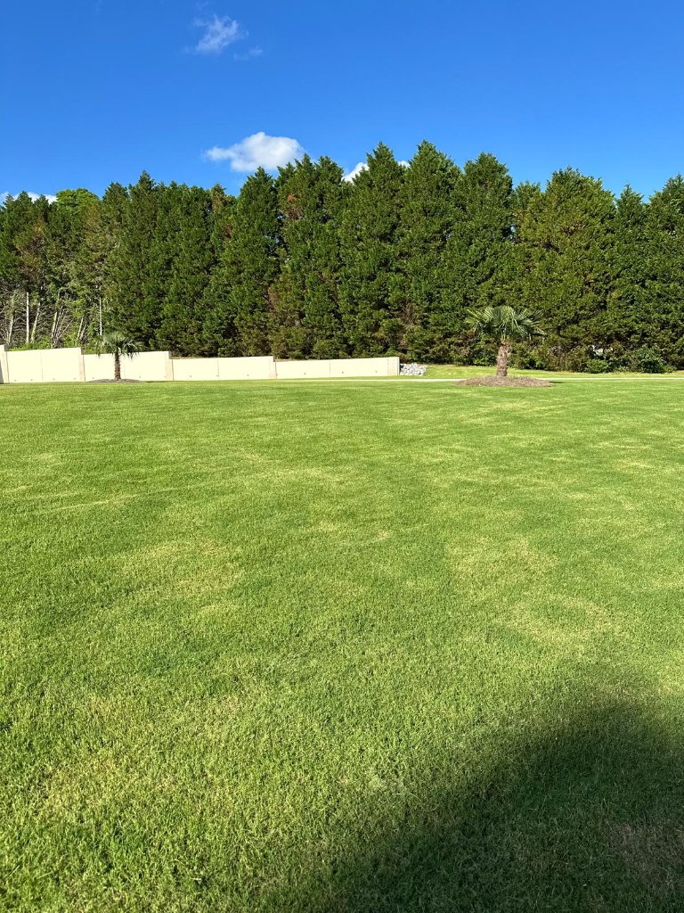 Grass Mowing & Edging example 5
