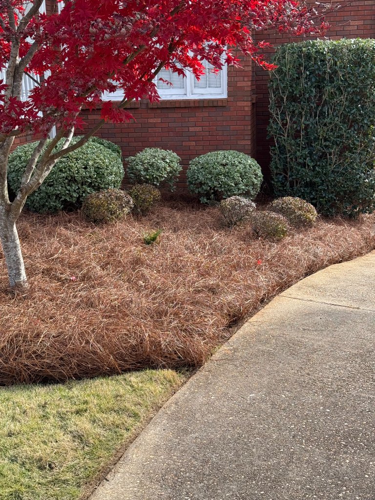 Pine Straw & Mulch