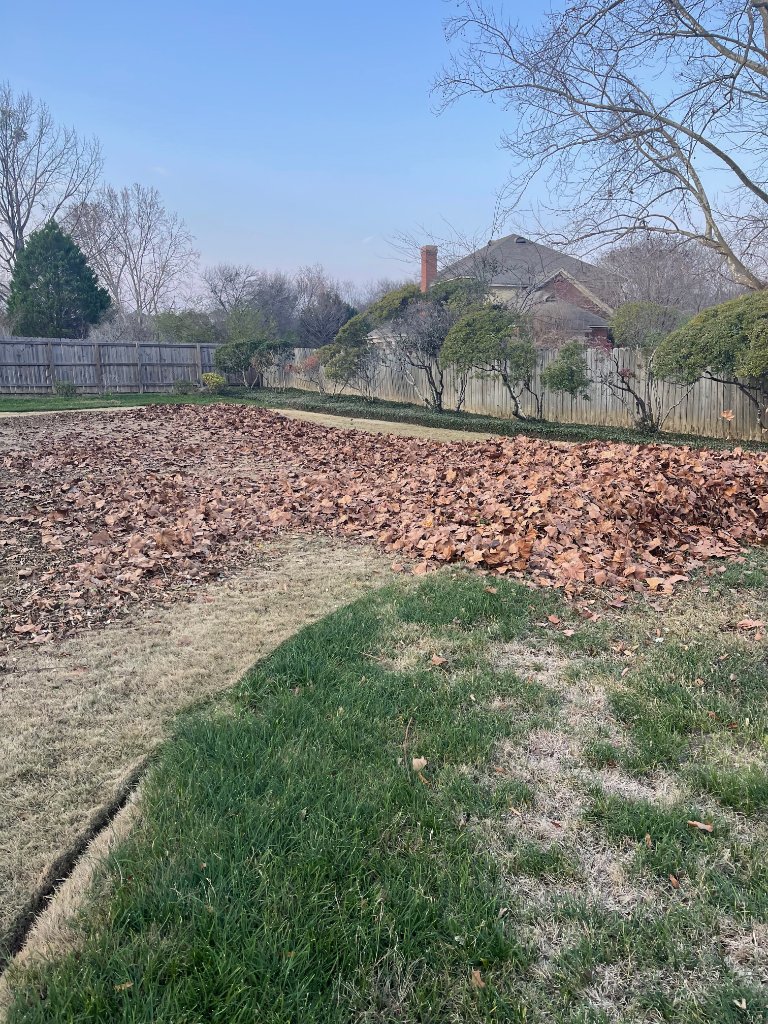 Clean-Up Services Before
