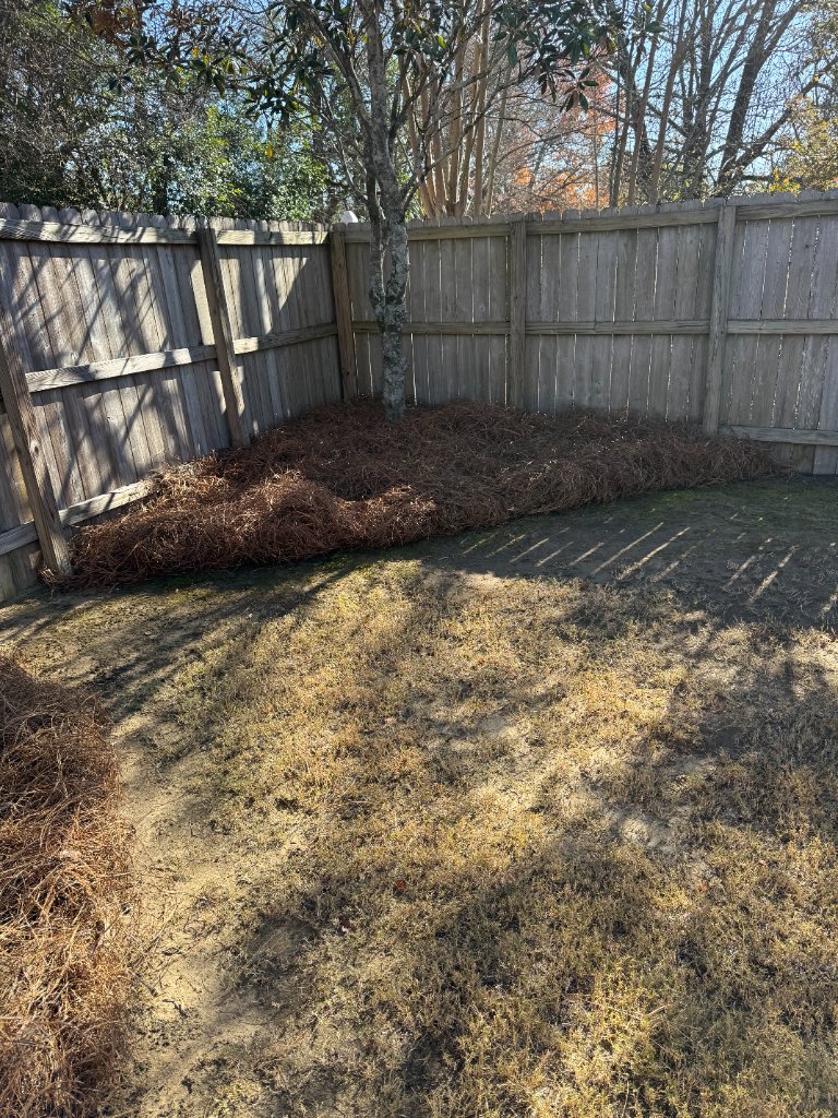 Pine Straw & Mulch example 6