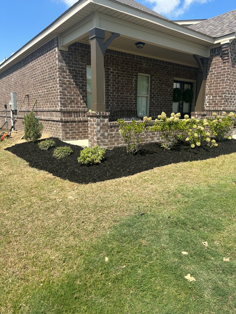 We Transform Your Property