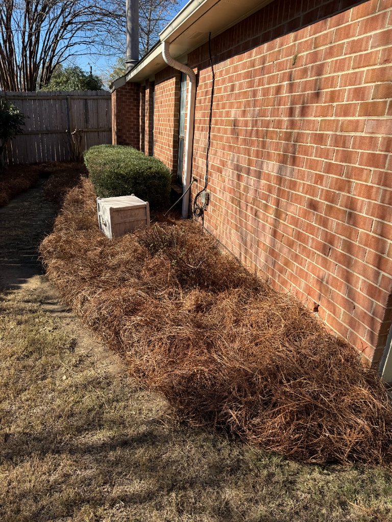 Pine Straw & Mulch example 7