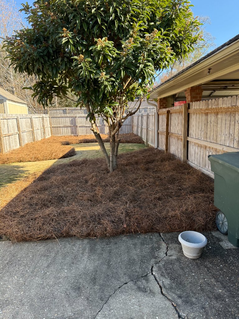 Pine Straw & Mulch example 2